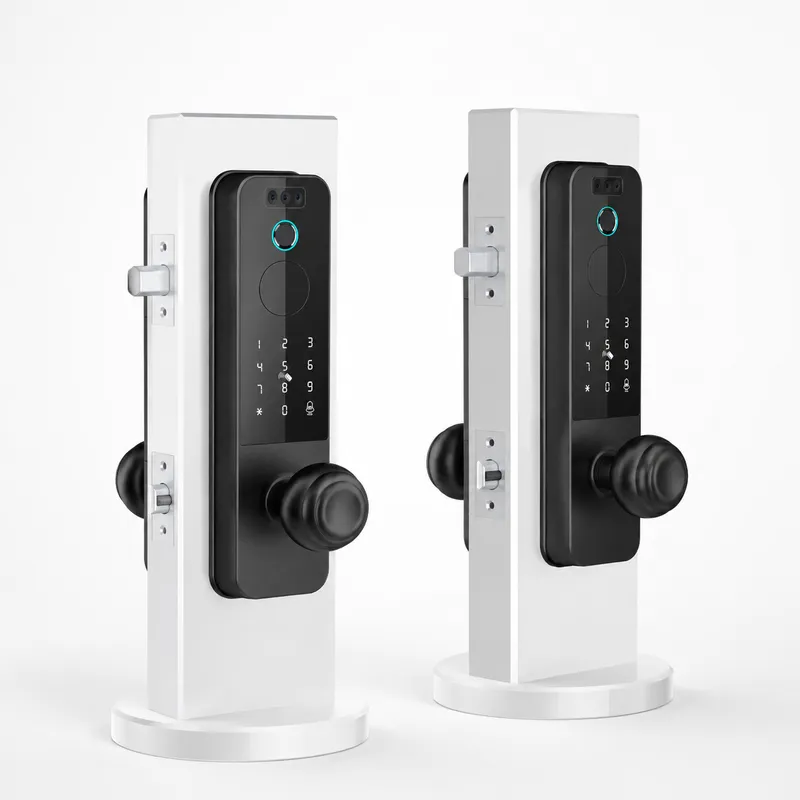 Smart Door Lock Wifi - Zamek do drzwi z rozpoznawaniem twarzy,
